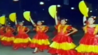 15 Anos Cadica Cia de Dança, Jornal do Almoço RBS TV