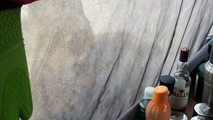 Des lionnes lèchent la tente d'un campeur