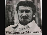 Waldemar Matuška - Kladivo (If I had a hammer cover) 1965