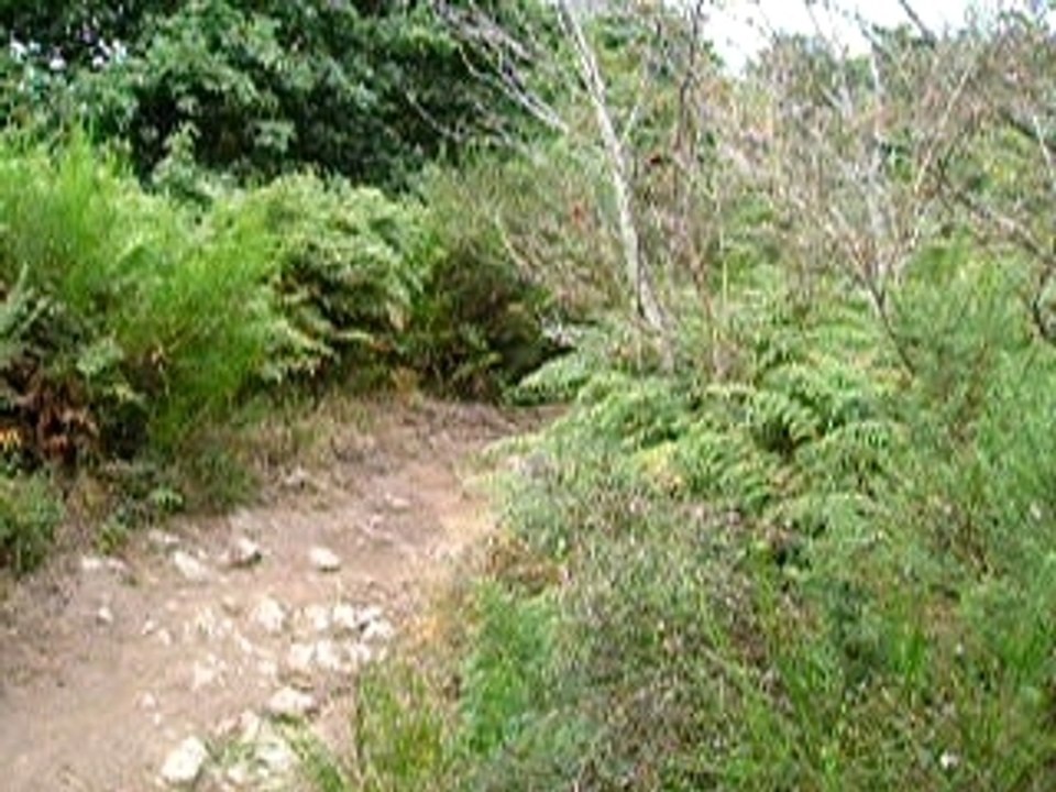 Descente VTT Montaigu 04