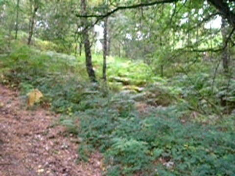 Descente VTT Montaigu 03