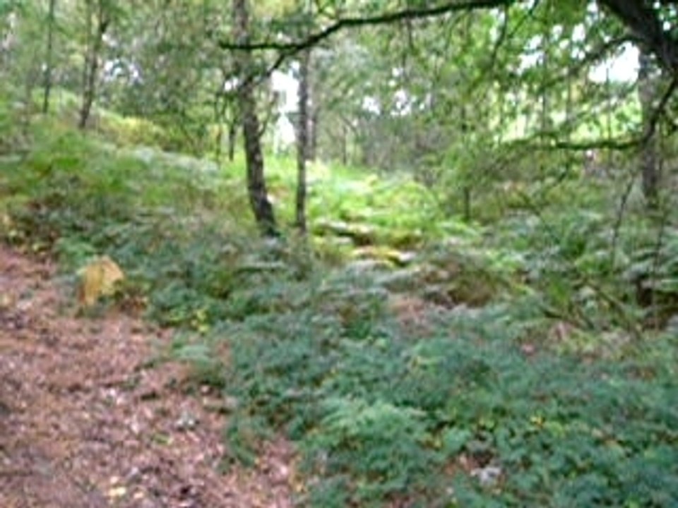 Descente VTT Montaigu 03