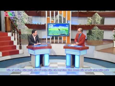 Ảnh hưởng của thương lái nước ngoài kinh doanh nông sản Việt - ThS. Phạm Hoài Huấn | ĐTMN 130416