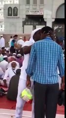 مسجد نبوی شریف کا ایک روح پرور منظر