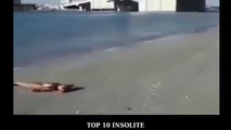 TOP 10 des 'VRAIS' Sirènes de mer retrouvées ! INCROYABLE Sirènes et PREUVES de leur Existence !