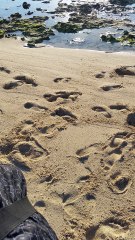 Un tricot rayé à Larégnère