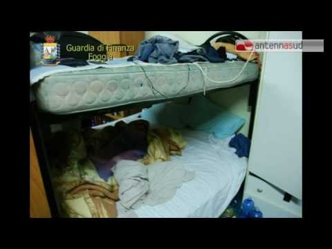 Tg Antenna Sud - Foggia: 25 operai in schiavitù, arrestati i caporali