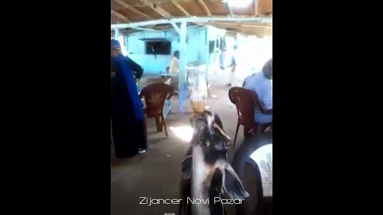 Volim i ja koka kolu ali trpim :D