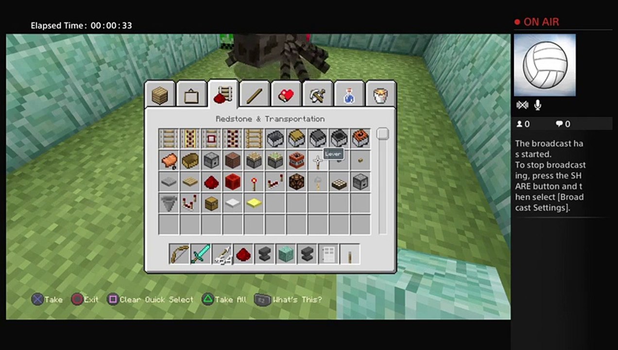 Minecraft (16)