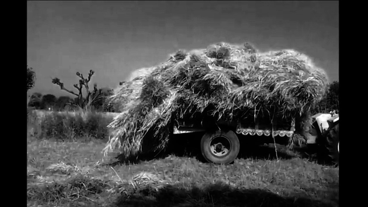 funny wheat overloading fail with tractor troll...