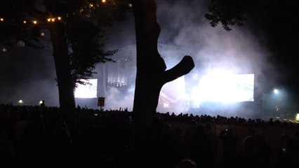 Chemical Brothers à Beauregard