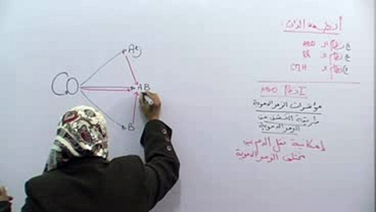 أنظمة الذات 2