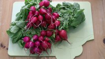 Oven Roasting Radishes