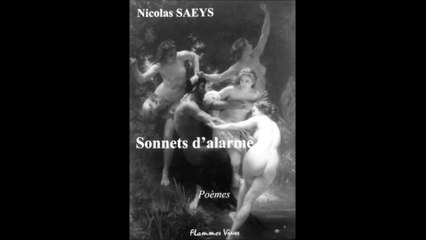 Sonnets d'alarme - autour de l'oeuvre