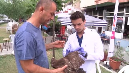 Yaralı Şahin ile Saksağana Vatandaş Sahip Çıktı