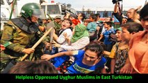 The Grievance of Uyghur Muslims in East Turkistan Trail 2