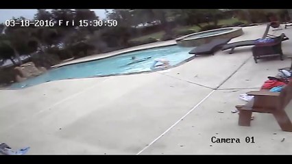 La petite fille de 5 ans sort se baigner, mais quand elle voit ça dans la piscine?! C'EST LA PANIQUE!