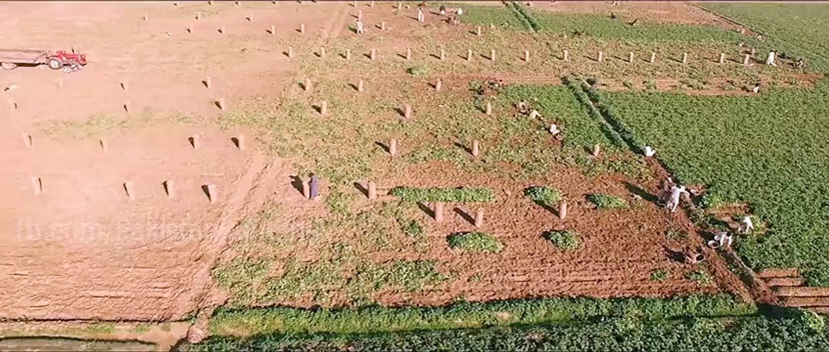 Trailer : Pakistanis made film on Chotu Gang of Rajanpur