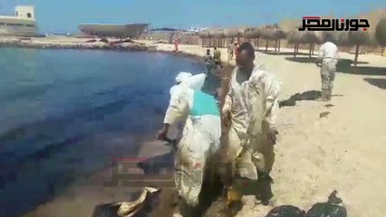 استمرار عمليات سحب الزيوت من شواطئ الغردقة لازالة التلوث البترولى