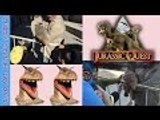 Baby Dinosaurs at JURASSIC QUEST | TREX Brachiosaurus Triceratops | Liam and Taylor's Corner