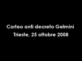 Corteo anti Gelmini a Trieste, 25/10/2008
