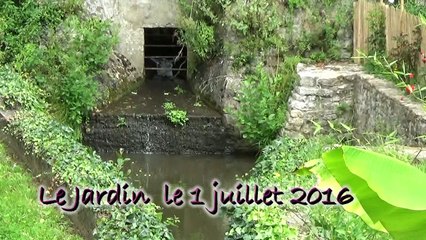 Les jardins Faliliaux Talmont au 1er Juillet 2016