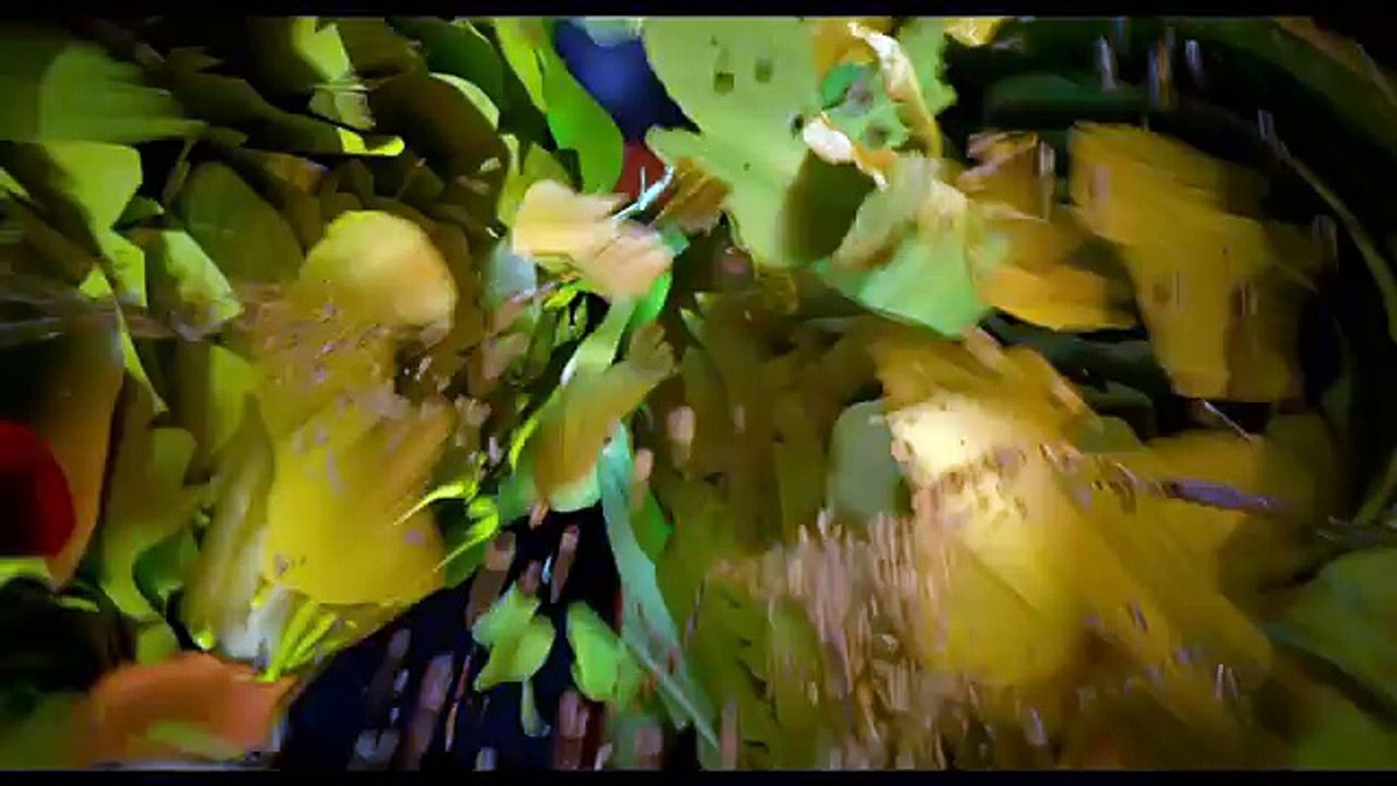 SAUSAGE PARTY - Save the Sausage