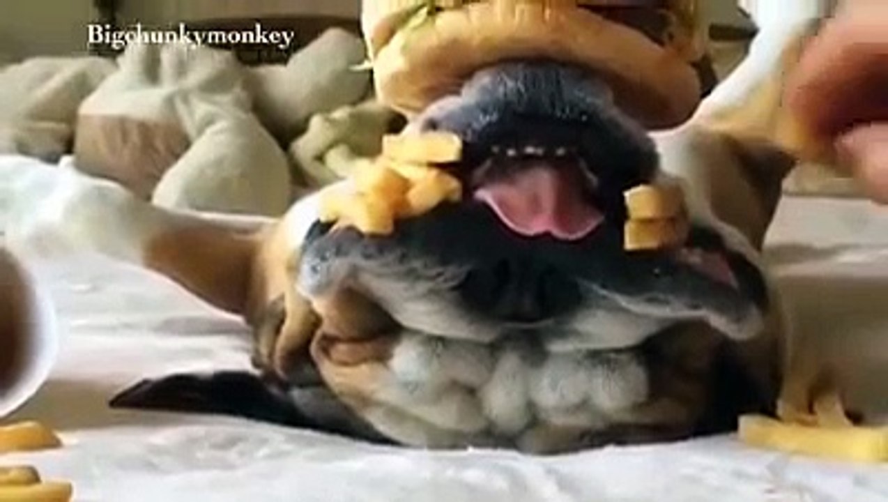 Que sono pesado
