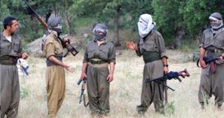 Halk Destek Bulamayan Teröristler Teslim Oluyor