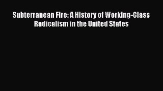 [PDF] Subterranean Fire: A History of Working-Class Radicalism in the United States [Download]