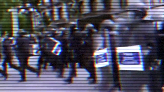 Профессор Элбакян Е. С. Экспертиза деятельности Александра Невеева