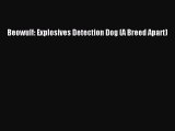 [PDF] Beowulf: Explosives Detection Dog (A Breed Apart) Download Full Ebook