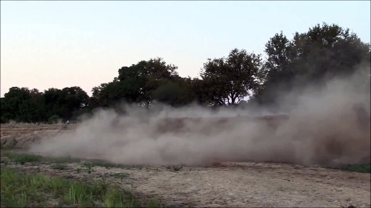 Lions attack Buffalo