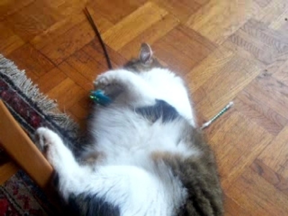 Martine a enfin son coton tige