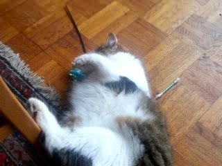 Martine a enfin son coton tige