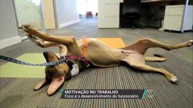 Empresas revelam o segredo para manter os funcionários satisfeitos