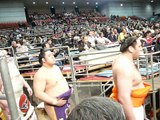 平成25年春場所東方土俵入り/The ceremony of sumo wrestlers, rikishi entering the ring, 2013