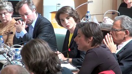 CD 89 : vote sur le nouveau schéma départemental des collèges (2)