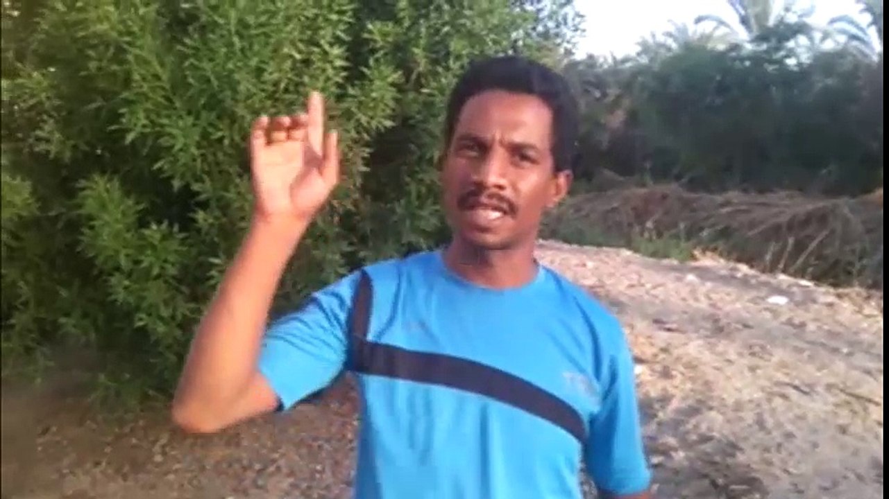 وزارة الري ومحافظة الوادي الجديد  يقتلان  اطفال 100 أسرة من سكان حي البستان  بواحة الخارجة  بسبب مصرف زراعي يخرج منه  ثعابين وعقارب - سكان حي البستان - اطفالنا تموت كل يوم من العقارب