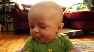 Top 10 Funny Baby Videos 2015