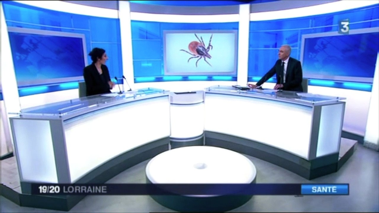 Maladie de Lyme : les associations de malades reçues au Ministère de la Santé avec Chaynesse KHIROUNI