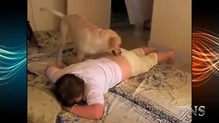 Video de risa de perro