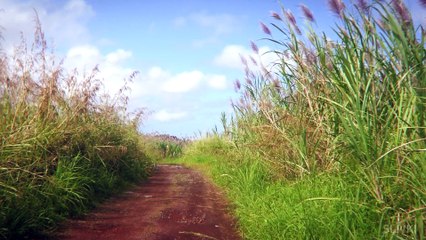 5 ЛЮДЕЙ ПОГРЕБЕННЫХ ЗАЖИВО!