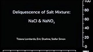 ESEM - NaCl NaNO3 Kinetics of Salt Mixture 25 sec - Eric Doehne sm