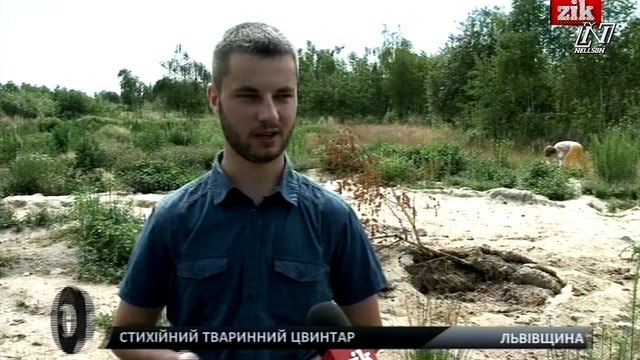 Свалка могильник- Украина, Львовская область.