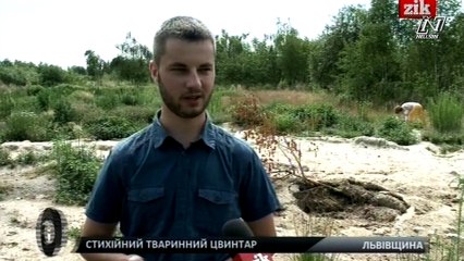 Свалка могильник-  Украина, Львовская область.