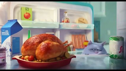 Как не есть после шести часов вечера. Лайфхак от кота :)