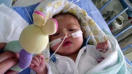 Alex our Lionheart - 28 November 2009