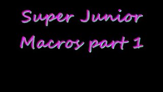 Super Junior Macros Part 1!!!