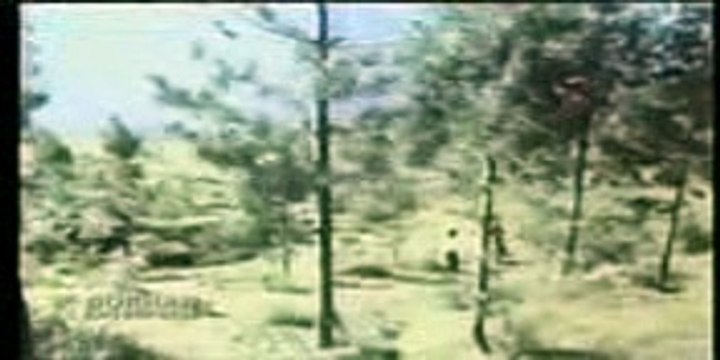 NOOR JAHAN - MEIN TE MERA DILBAR JANI - SALA SAHIB - REMIX_mpeg4